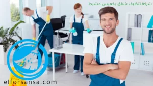 شركة تنظيف شقق بخميس مشيط