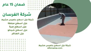 شركة عزل اسطح بخميس مشيط