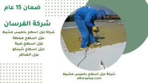 شركة عزل اسطح بخميس مشيط